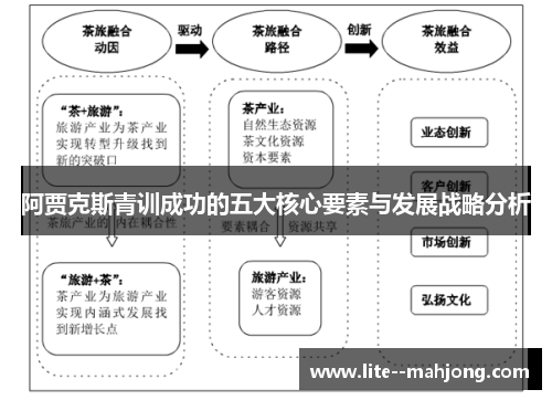 阿贾克斯青训成功的五大核心要素与发展战略分析