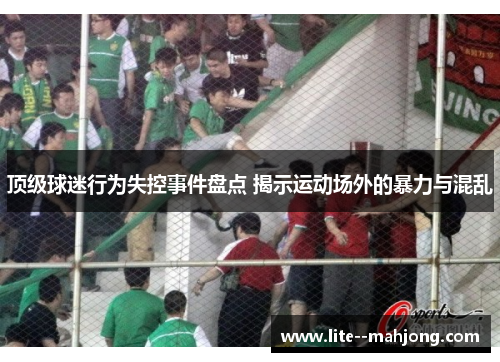 顶级球迷行为失控事件盘点 揭示运动场外的暴力与混乱